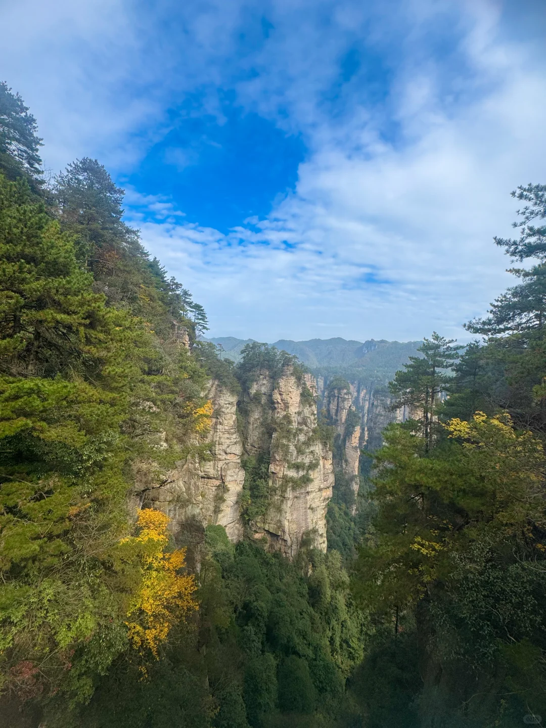 成都自驾出发，5天4夜！张家界亲子游全攻略❗️