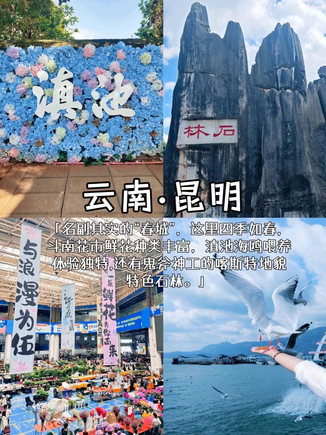 冬季反向旅游｜这些城市避寒简直绝了