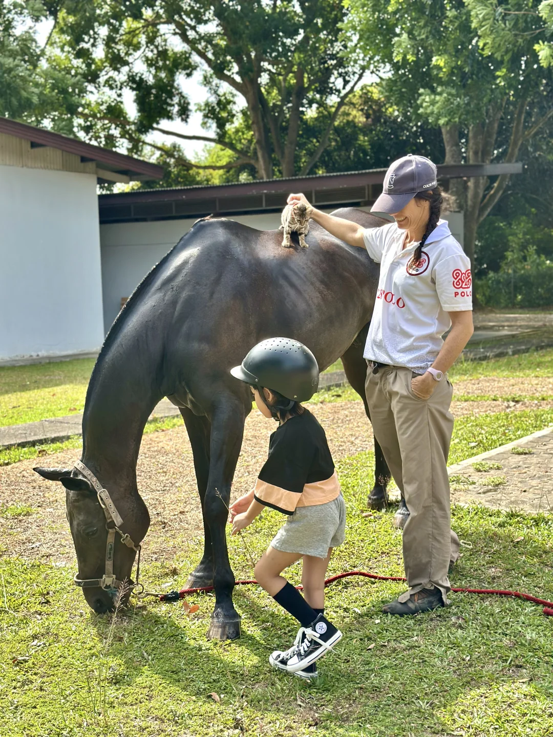 不是国外!是在马六甲新开的马场!!