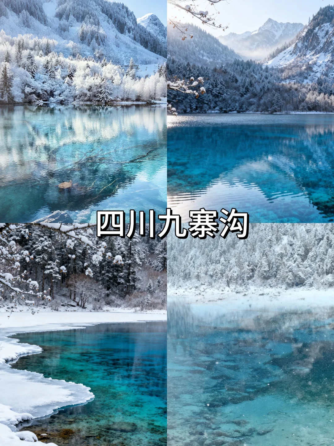 国内冬季赏雪天花板‼️看看你去过哪几个