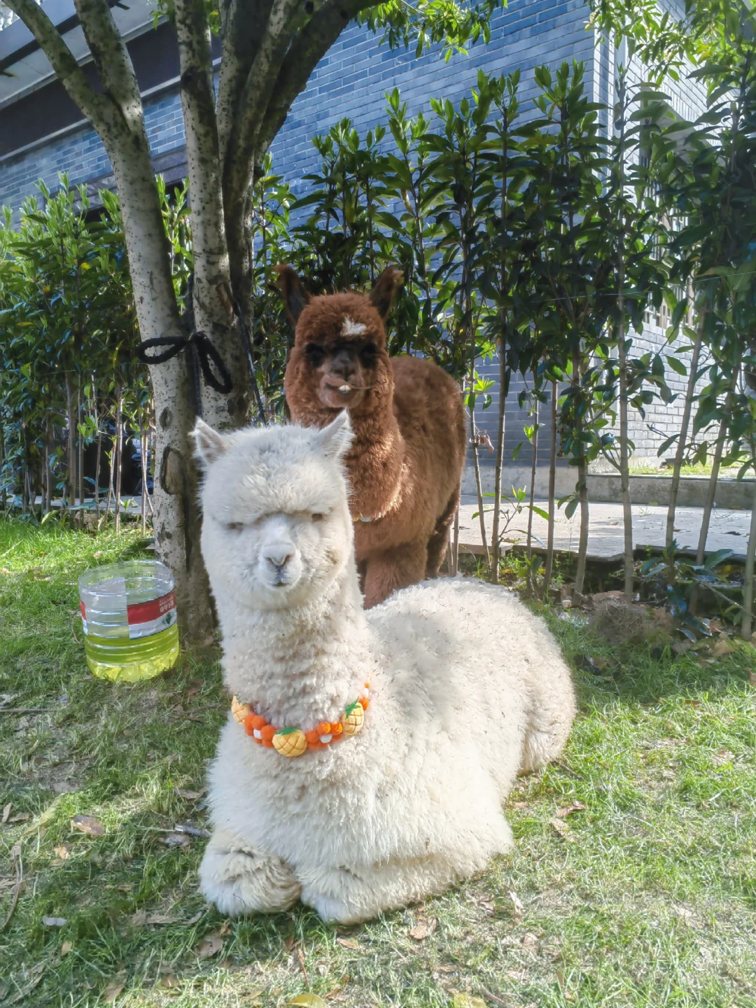 千万别错过大自然的宝藏☀