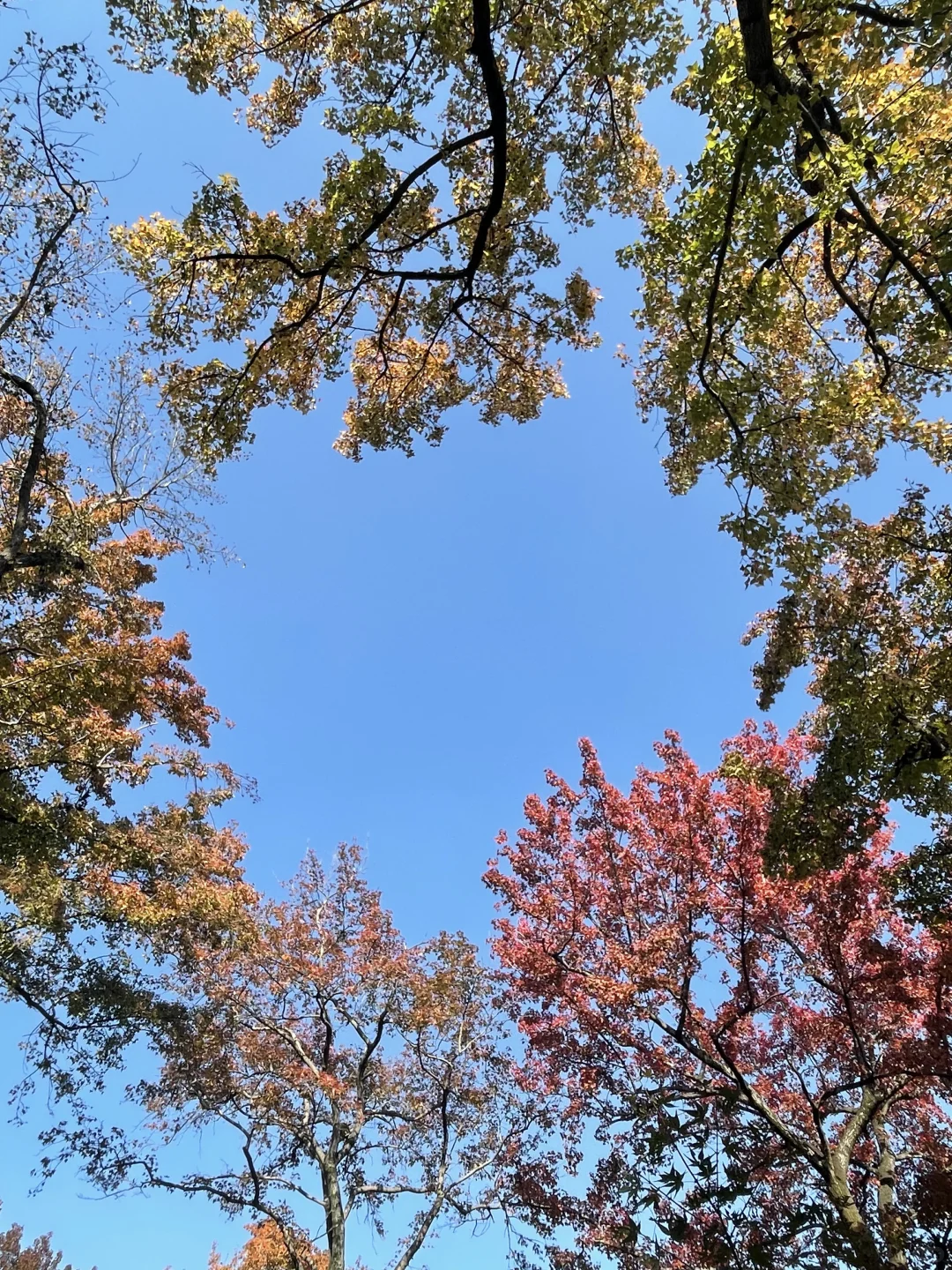 29昆山往返天平山，景区直通车真的方便