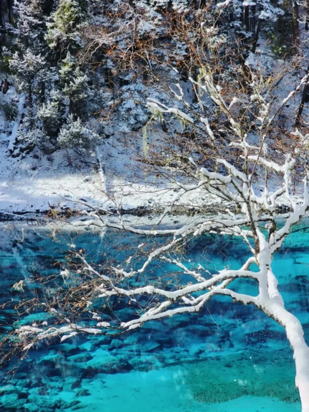 松潘玩雪已回！坚决不删，能劝一个是一个……