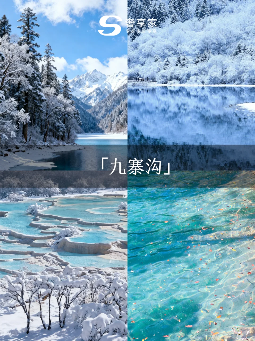 冬季适合旅行的十大城市，避寒玩雪全搞定