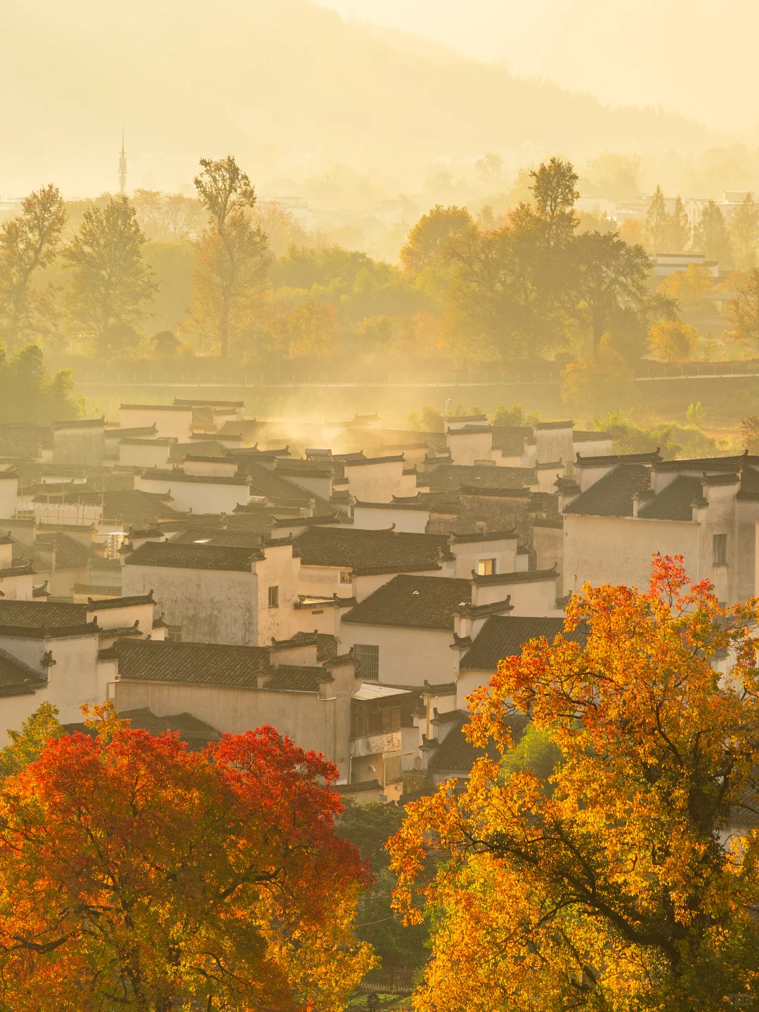 南京出发 | 挑战每周出去玩✨第60站📍黟县