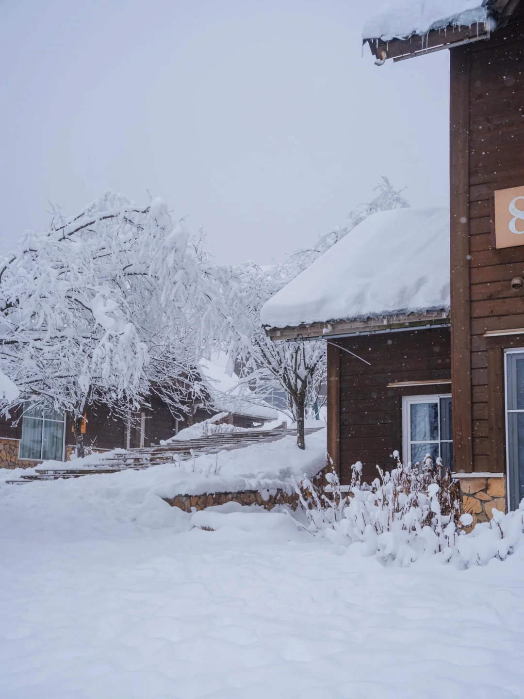 西岭雪山1日游包车全攻略｜玩雪嗨翻天