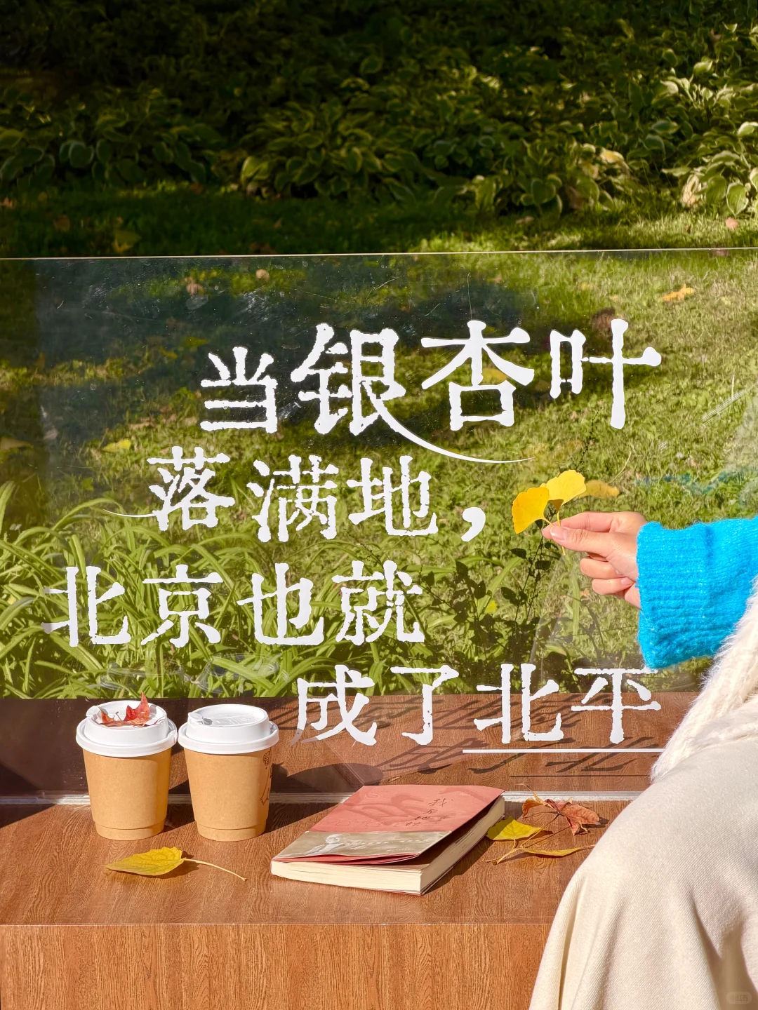 实拍live图，本周北京看银杏走这条路线🍂❗️