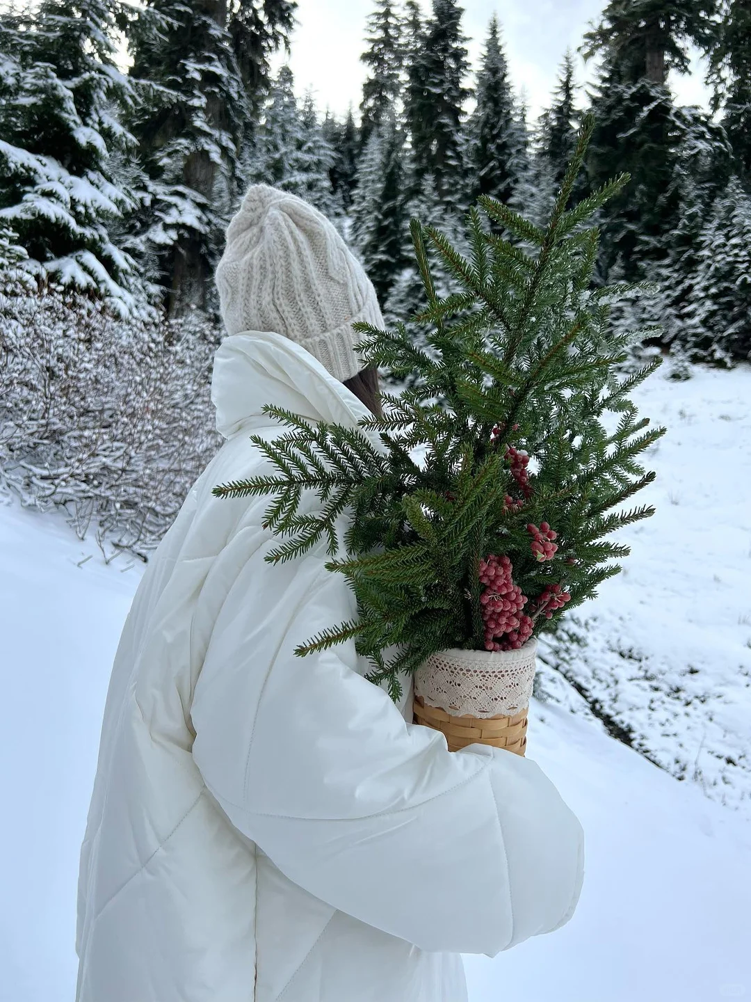 格鲁吉亚的冬天，是让人一眼惊艳的程度！