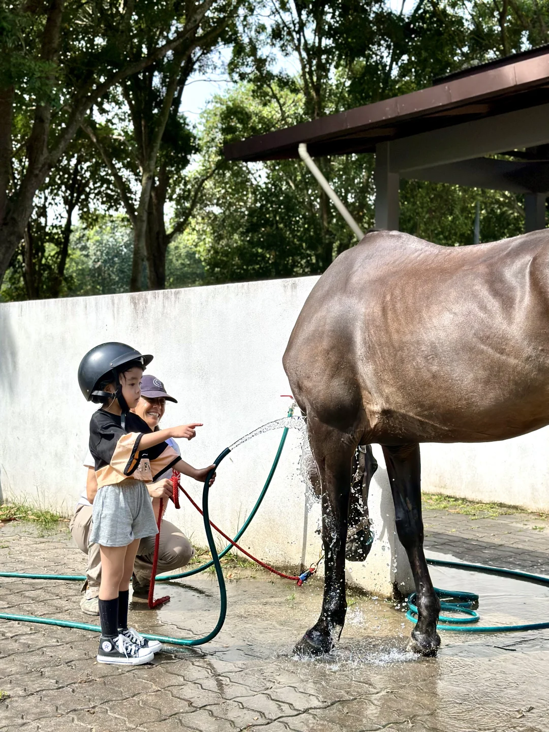 不是国外!是在马六甲新开的马场!!