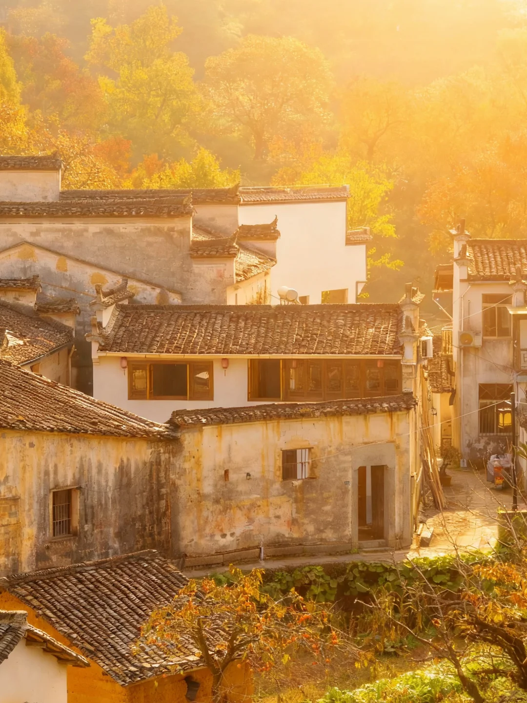 南京出发 | 挑战每周出去玩✨第60站📍黟县