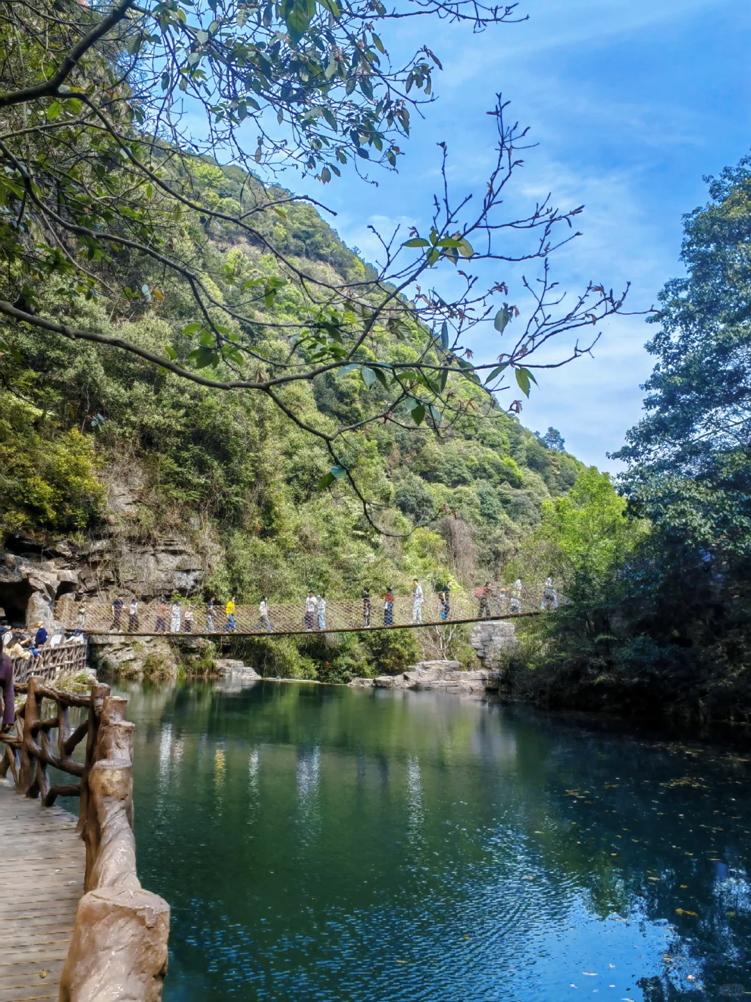 千万别错过大自然的宝藏☀