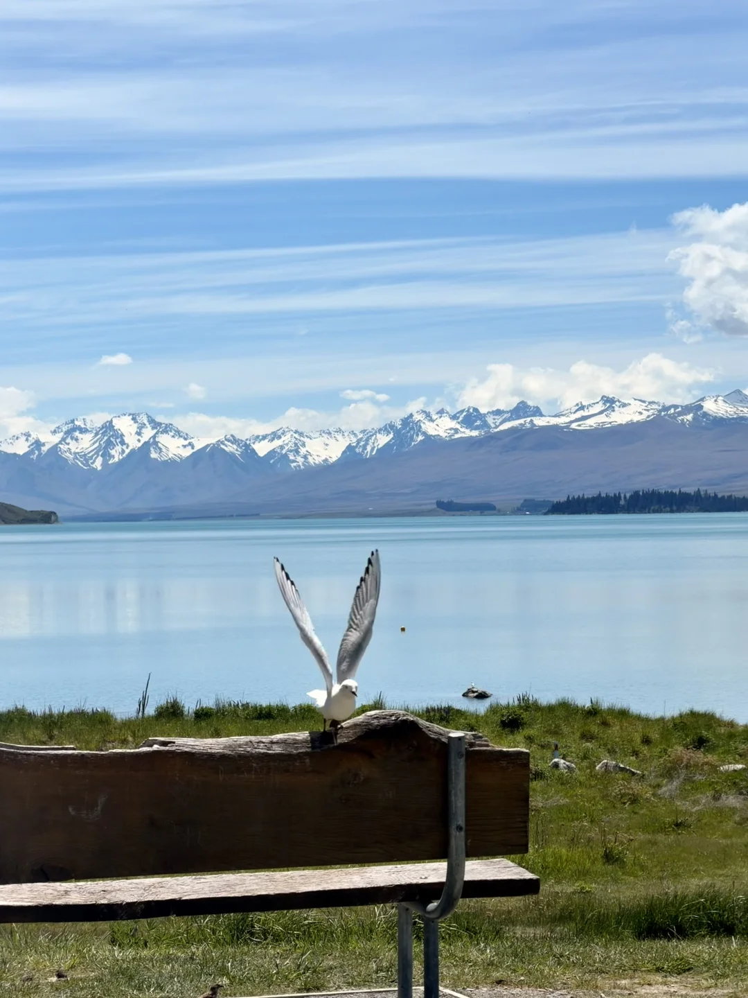 🇳🇿 Lake Tekapo 🩵