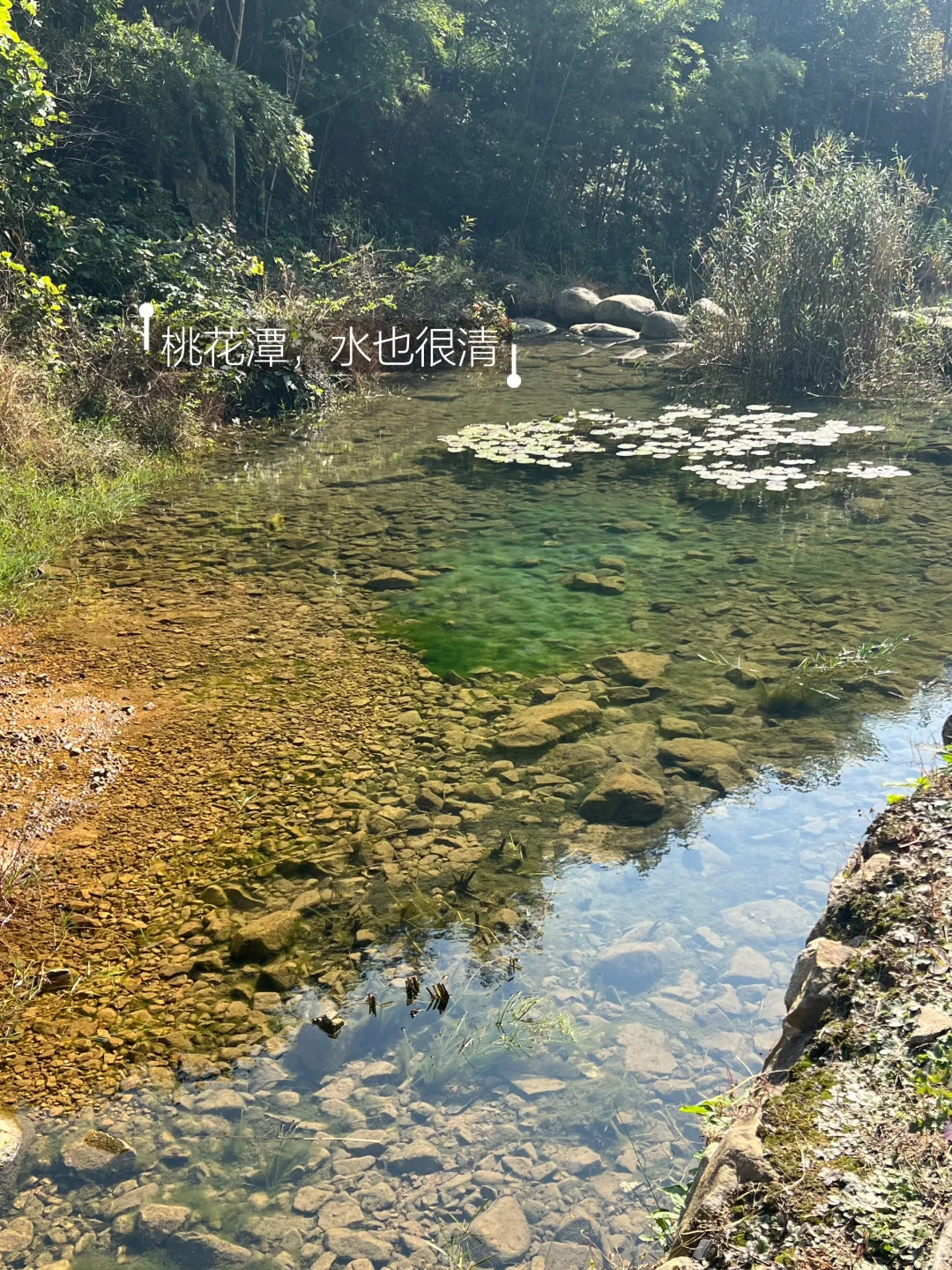 先收藏⭐明年夏天来玩水‼️