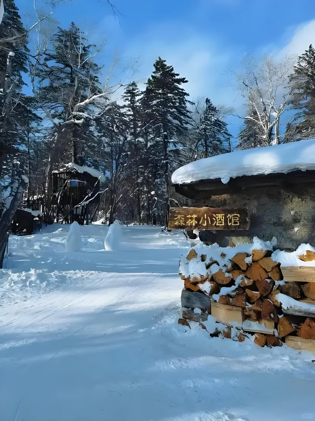 听劝！延吉→雪岭→长白山这么玩，拼车包车