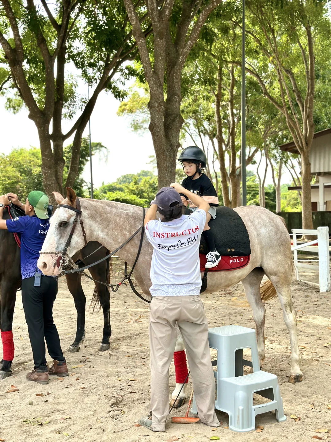 不是国外!是在马六甲新开的马场!!