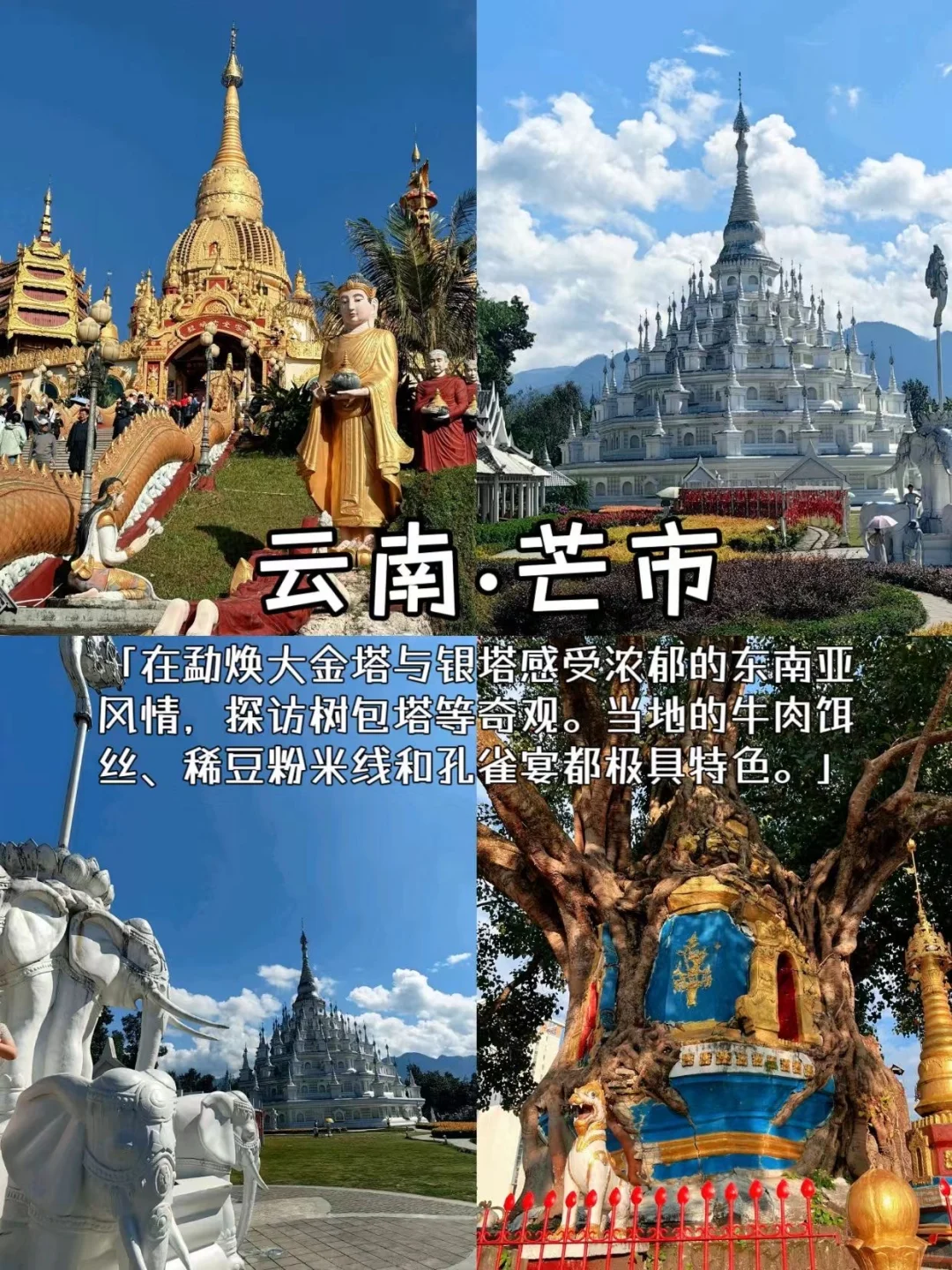 冬季反向旅游｜这些城市避寒简直绝了