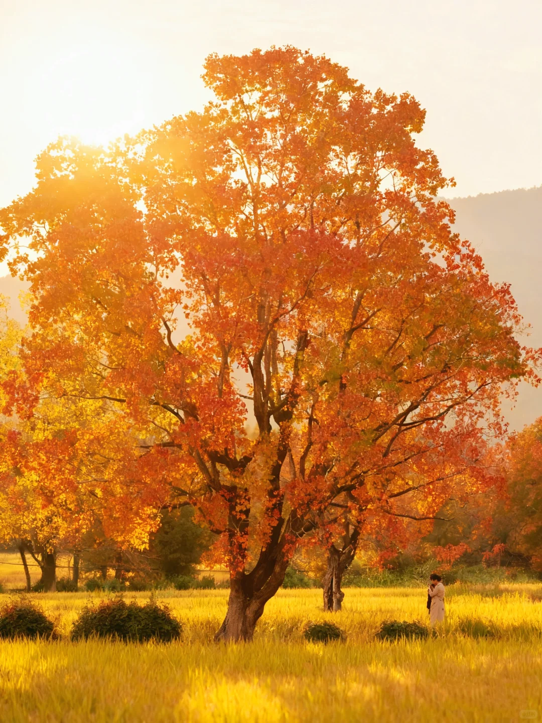 南京出发 | 挑战每周出去玩✨第60站📍黟县