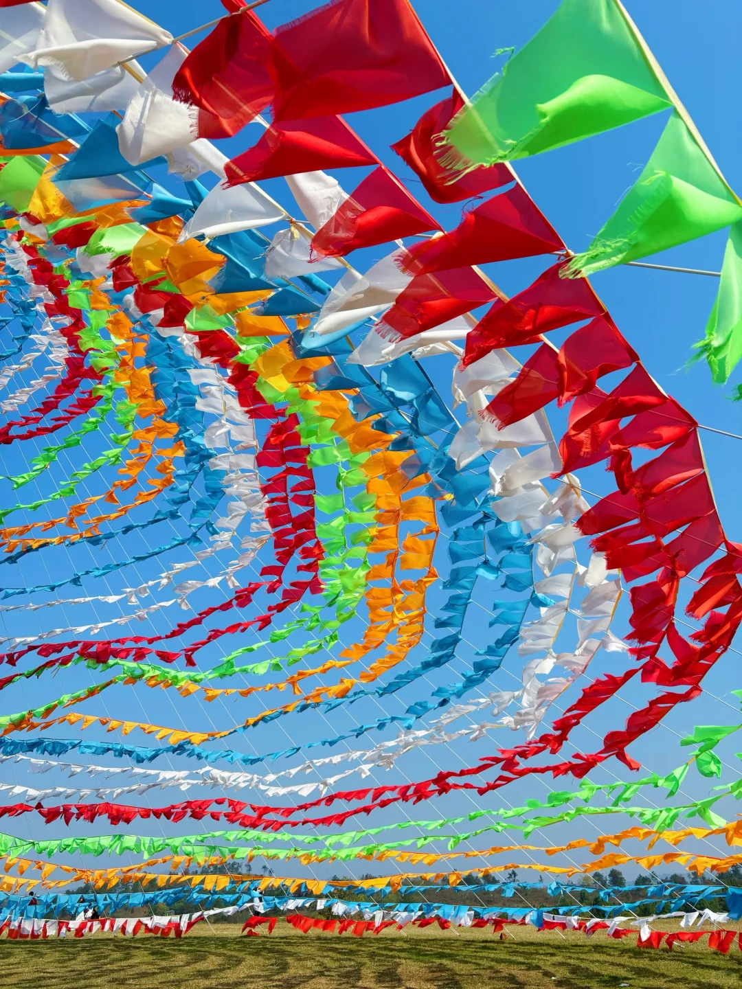 木兰草原｜周末不费妈攻略🔥1h直达放肆嗨