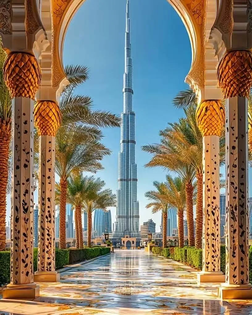 体验传统与奢华🚢MSC神女号中东航线🎉