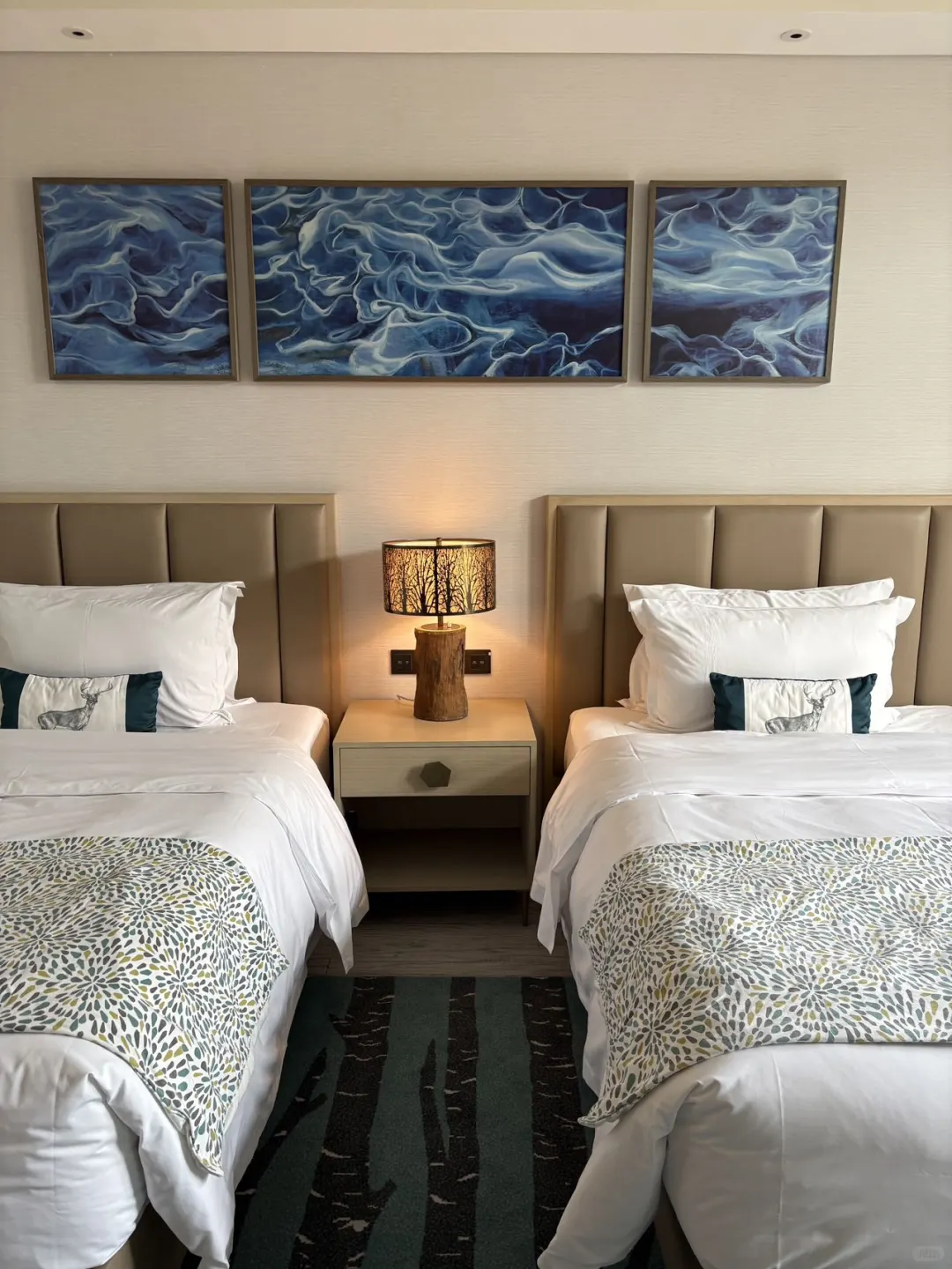 5折拿下郑州吃住玩套餐‼️‼️不囤真的亏