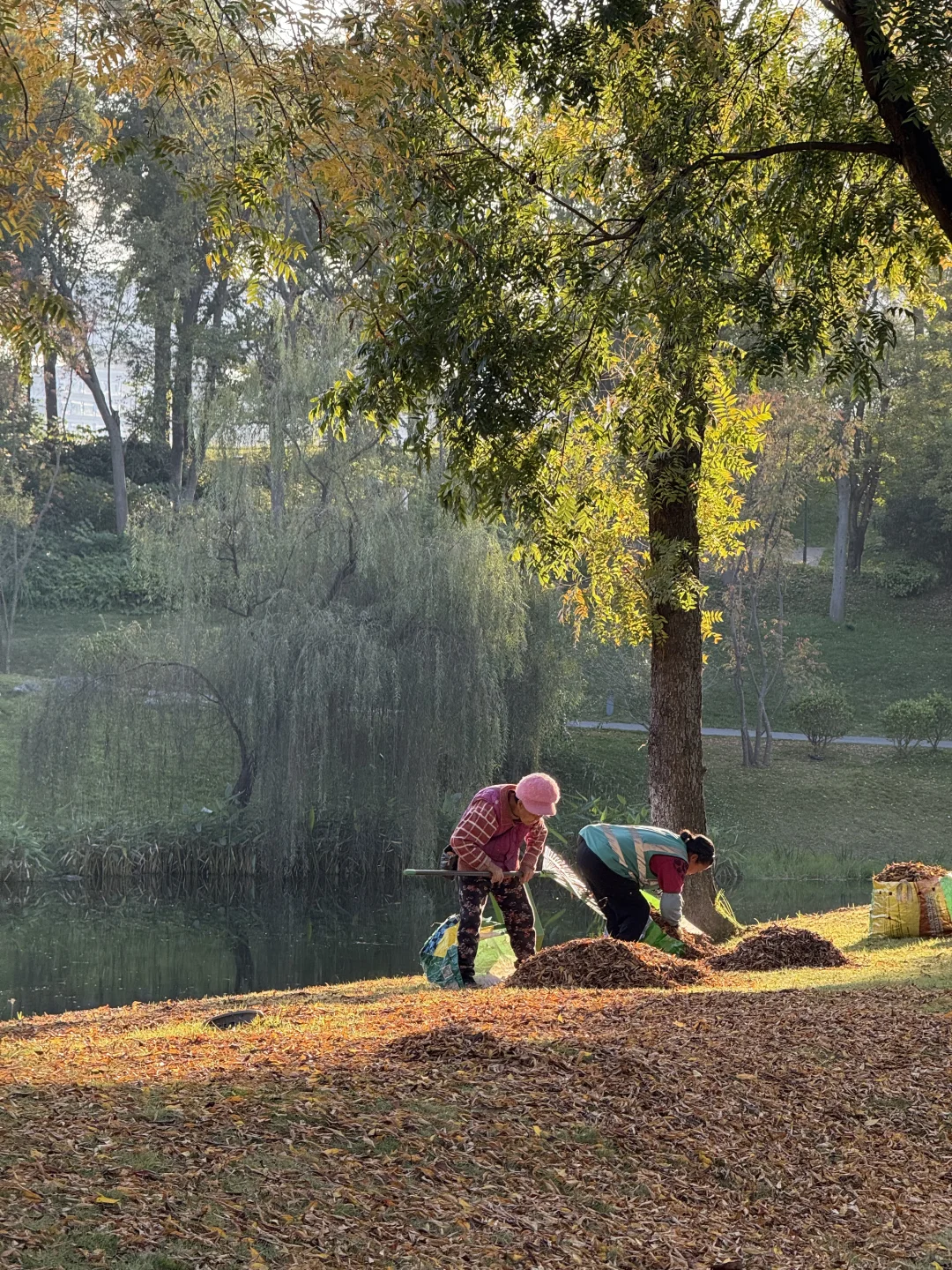 谁懂！成都这个公园有种不在国内的美！