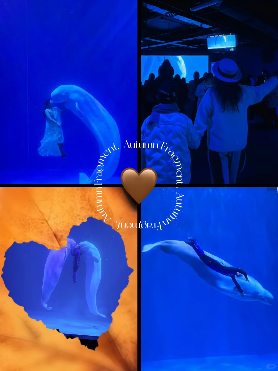 ️冬天去哈尔滨 J人整理必玩指南📖‼️