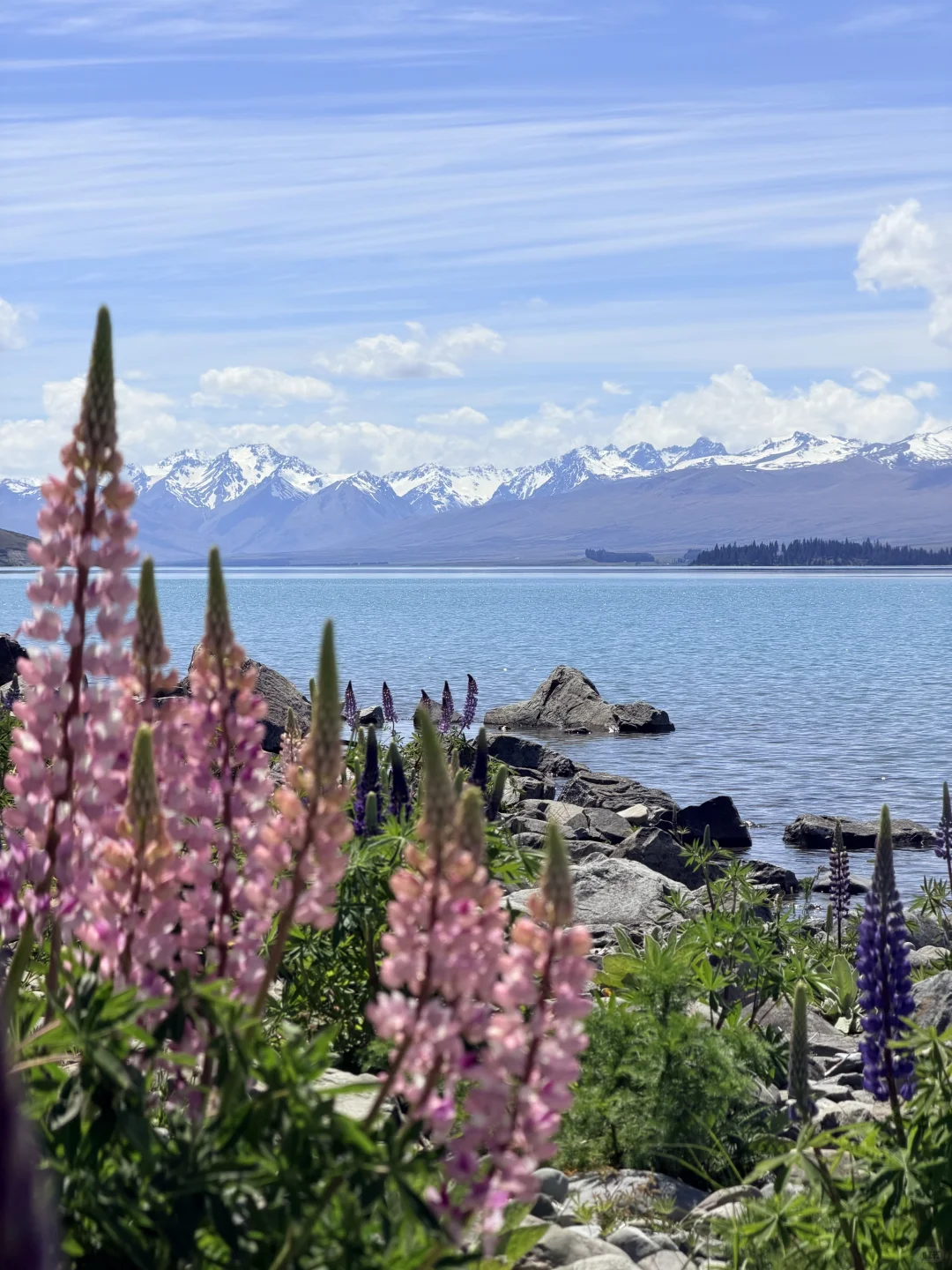 🇳🇿 Lake Tekapo 🩵