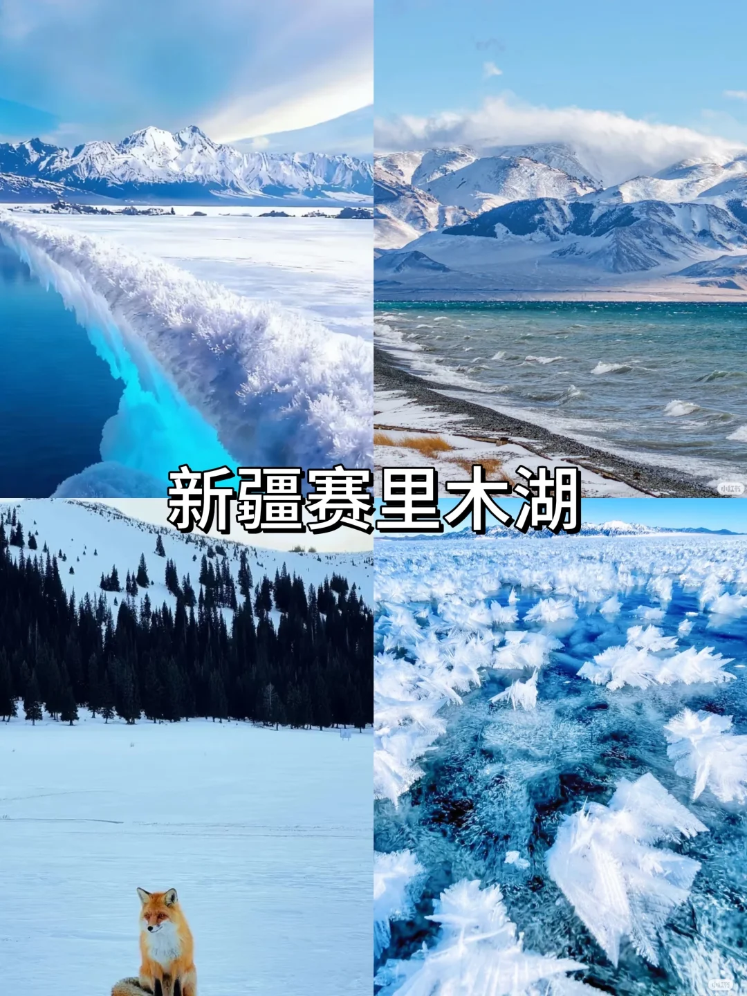国内冬季赏雪天花板‼️看看你去过哪几个