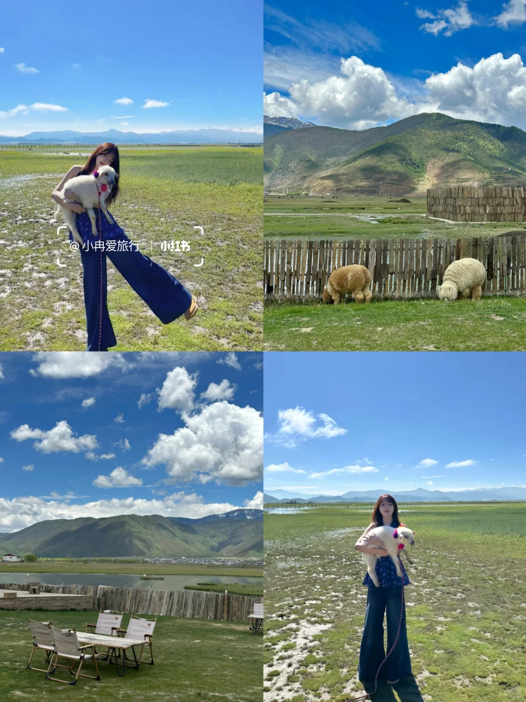 云南旅游已回👫七天花了2800，谈谈感受！