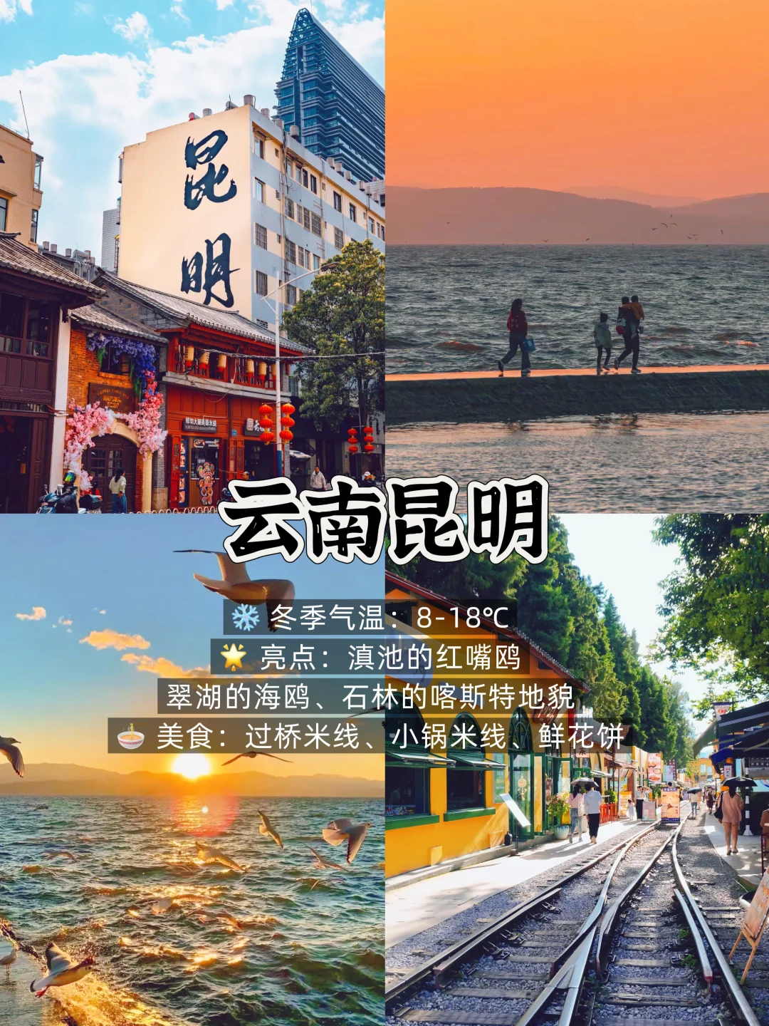 冬季反向游 ❄️假期就去这9个温暖城市吧！