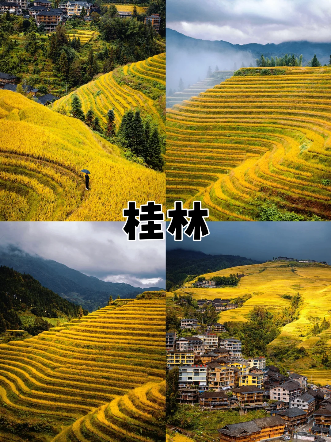 秋天适合带小朋友去的，四个超棒城市