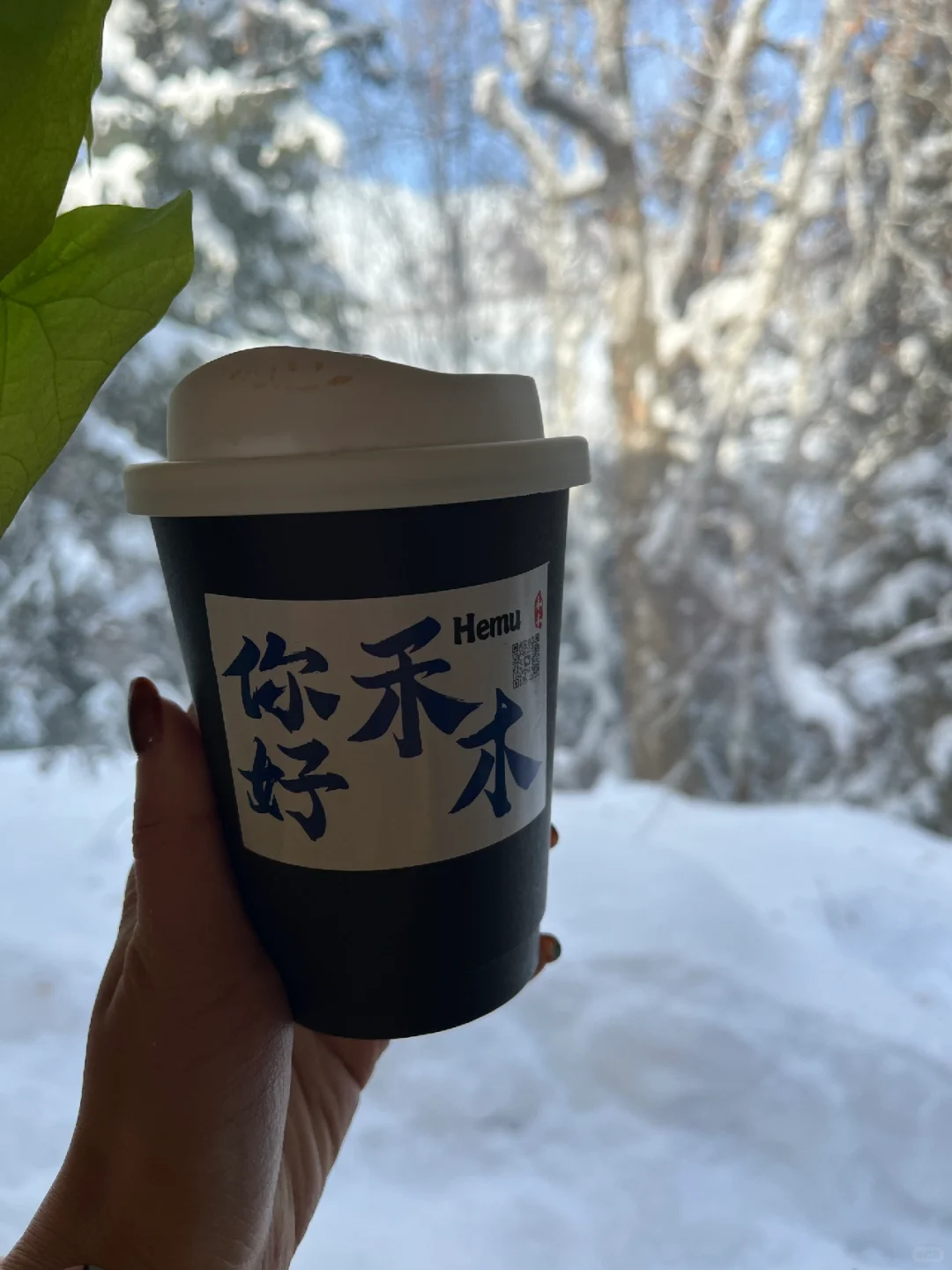 禾木11.18实况！一定要来冬天的阿勒泰，值得！