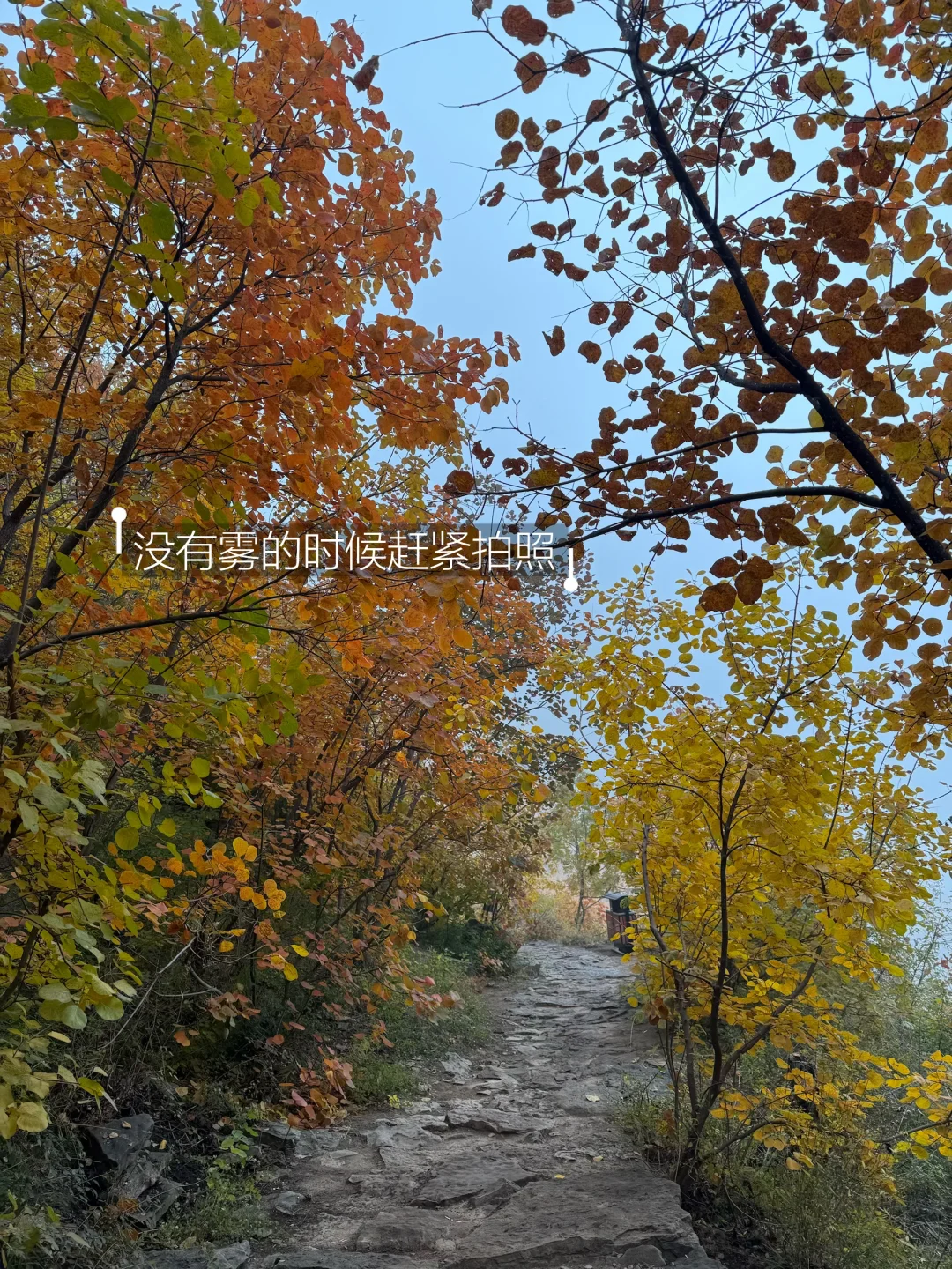 邢台也有自己的喀纳斯｜佛照山