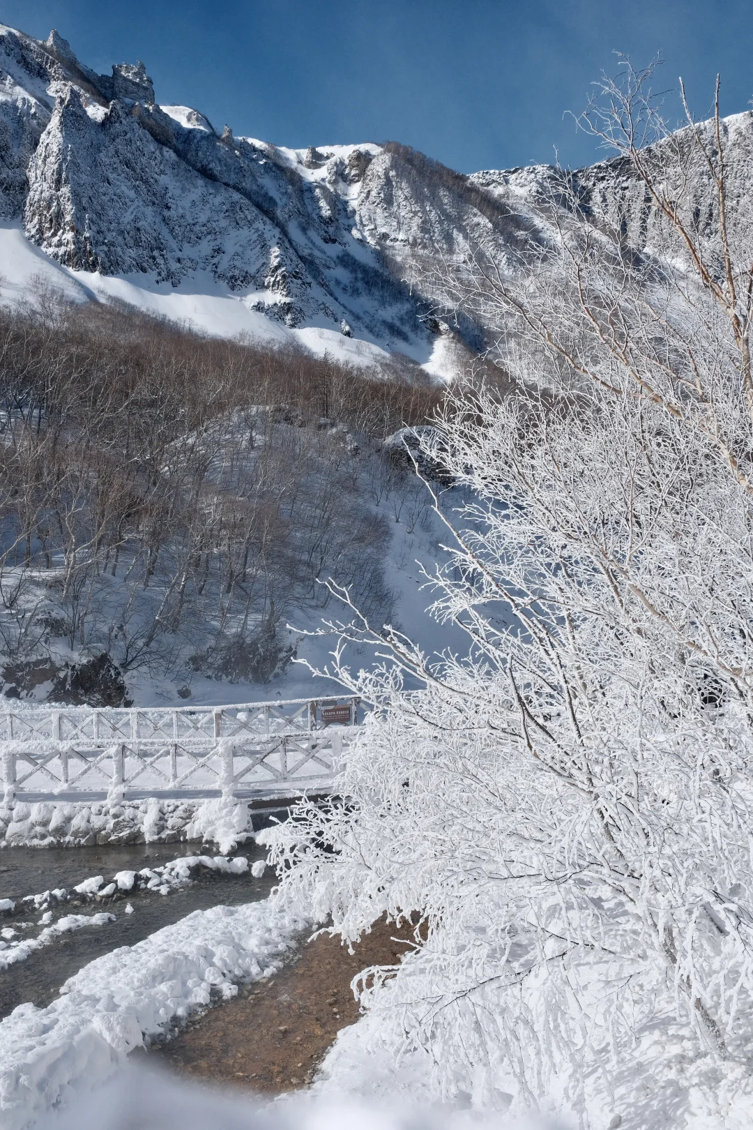 长白山玩雪看这里👀
