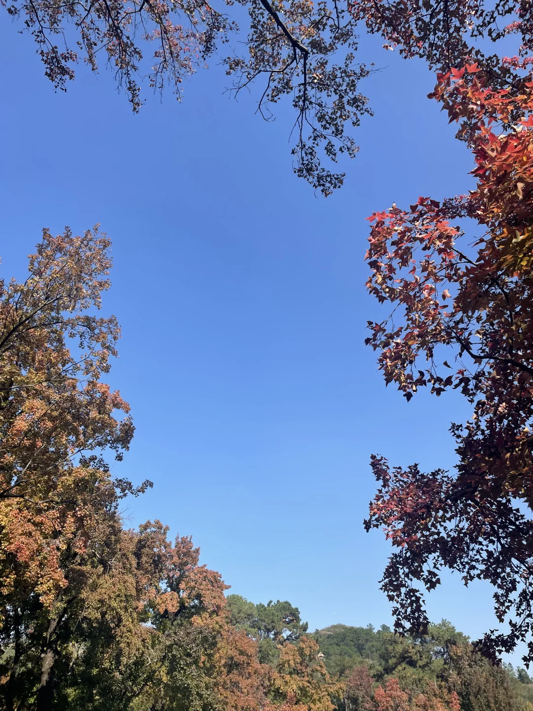 29昆山往返天平山，景区直通车真的方便