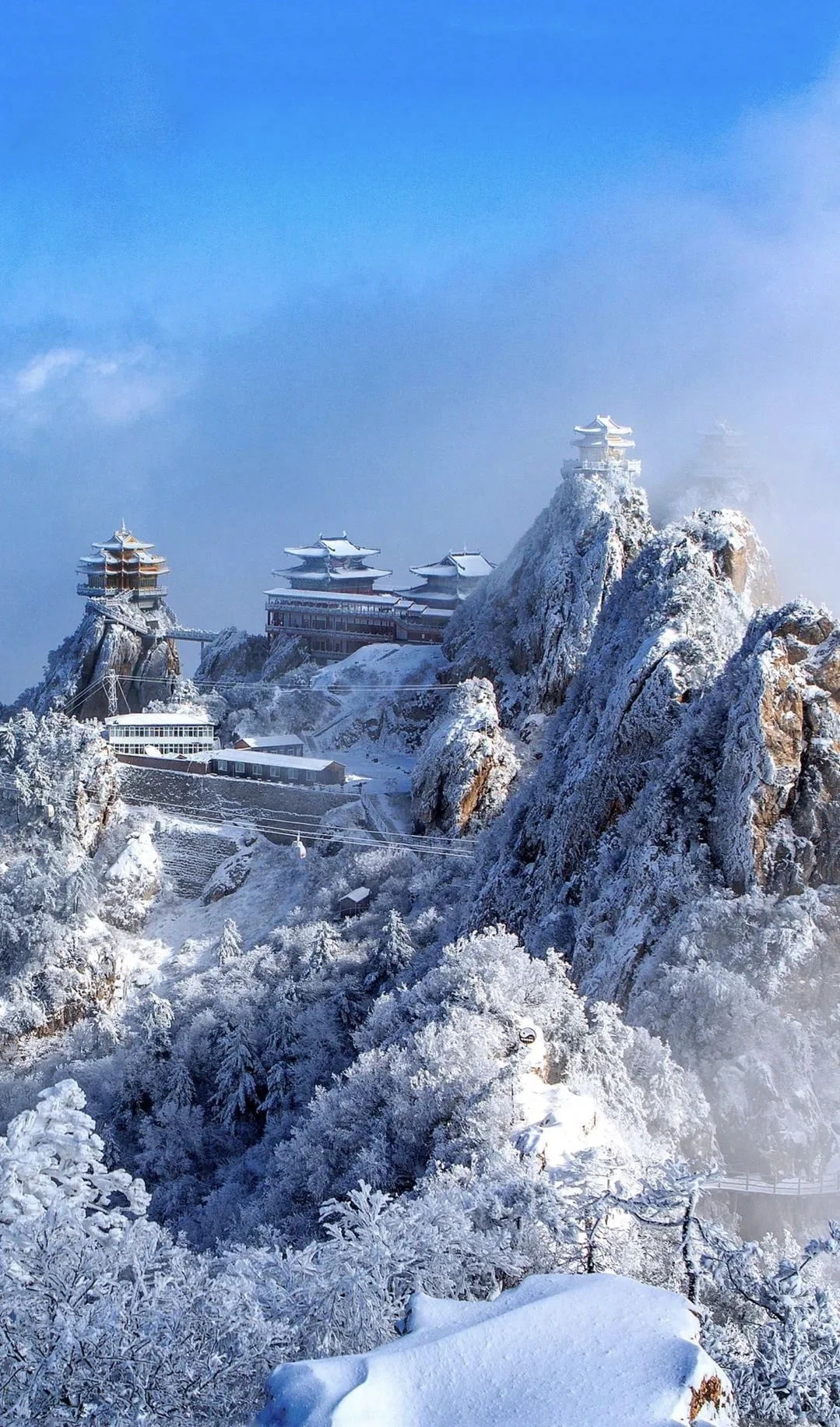 ‌✨洛阳三日｜必玩景点！