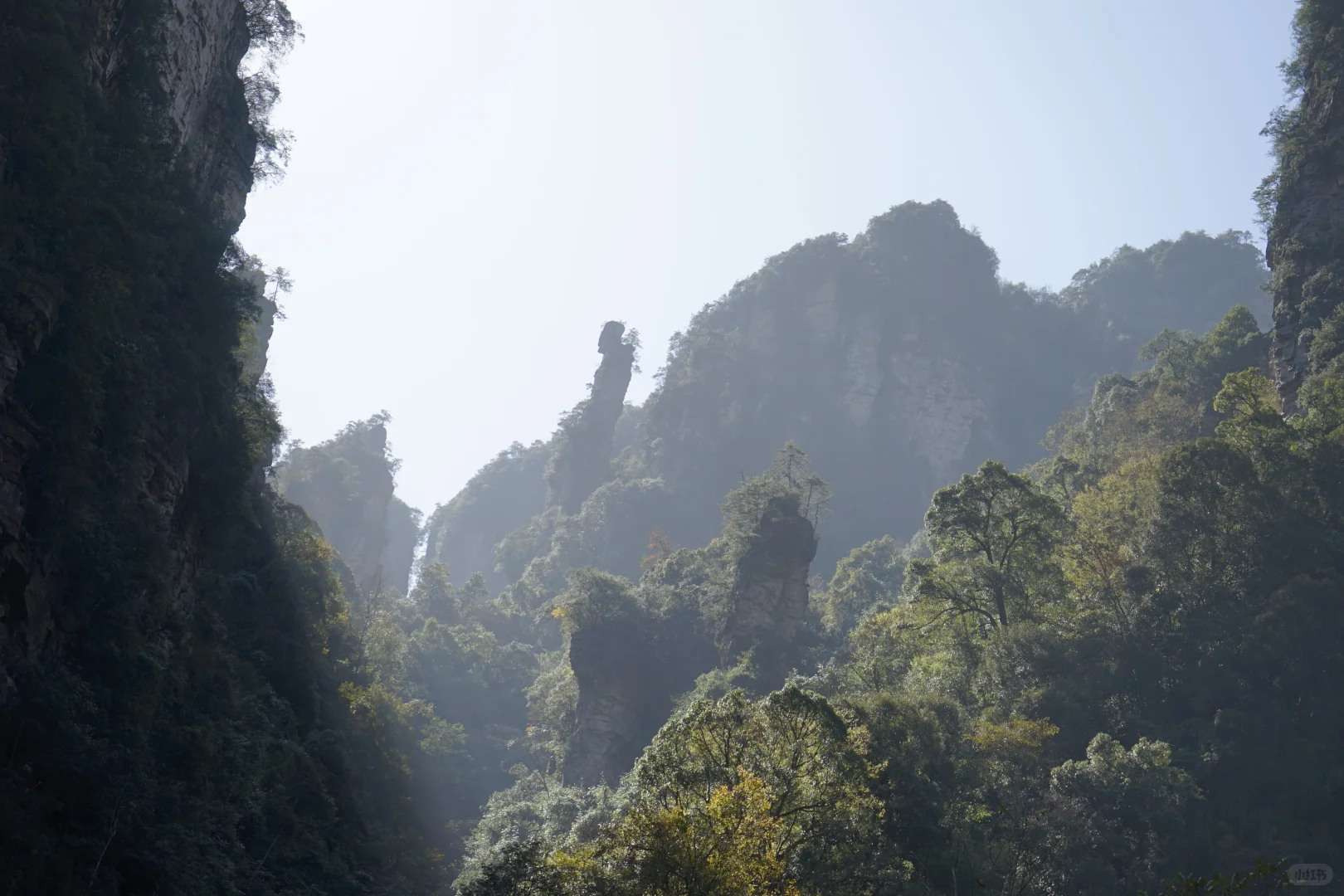 张家界攻略！避坑 + 省时