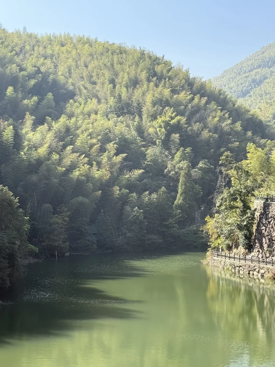 风声，鸟叫声和流水声，倾听大自然的声音