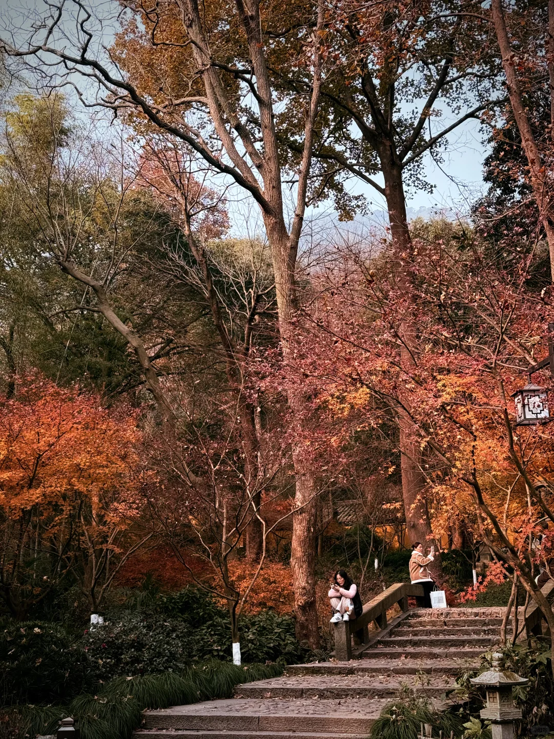 杭州永福寺的红叶应该是日本京都的平替了～