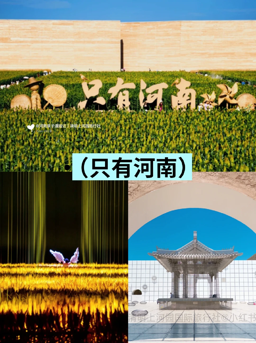 河南旅游已回📍寒假春节去的请一定要慎重