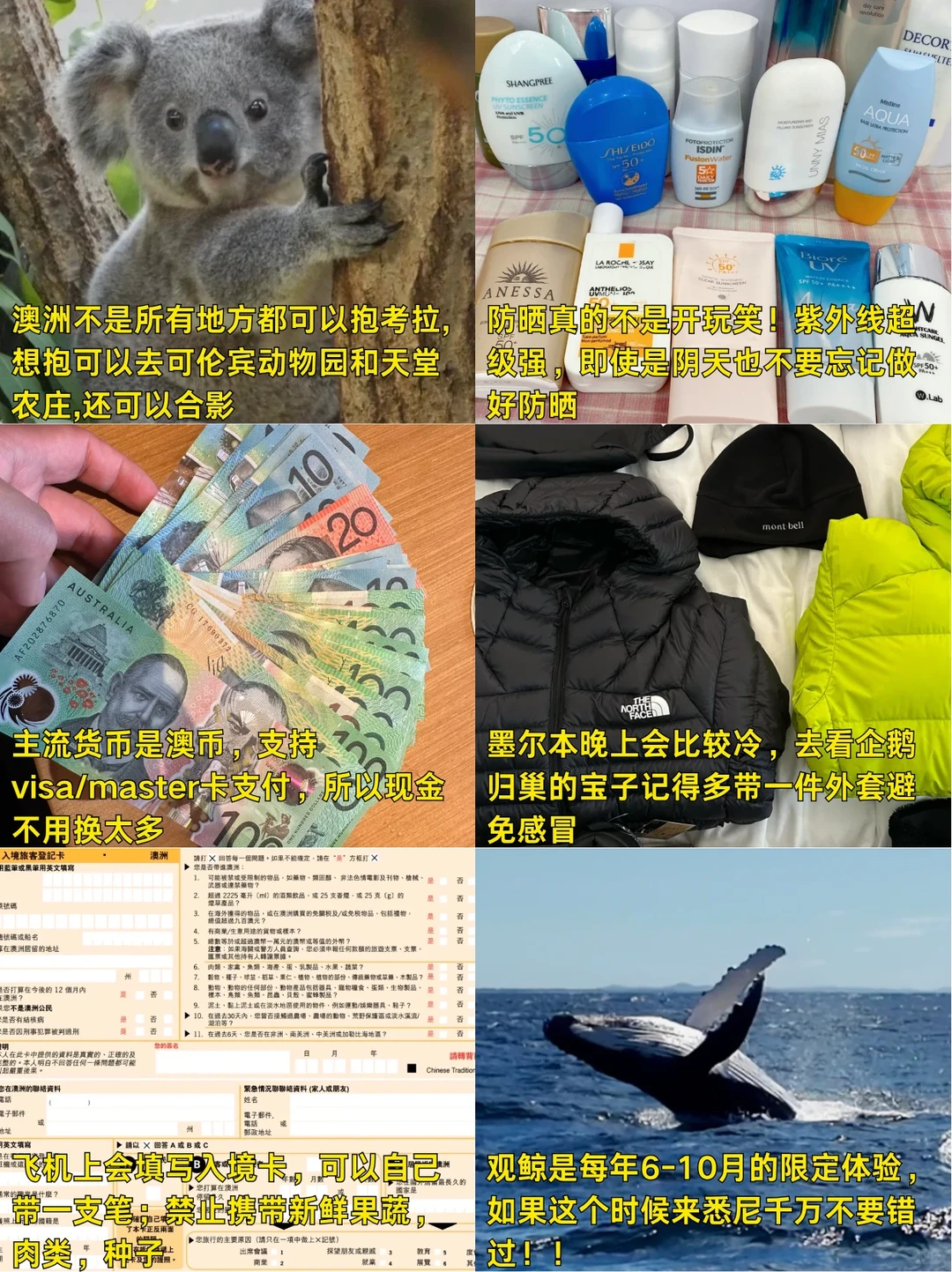 12-2月来澳大利亚旅游的千万注意了！！