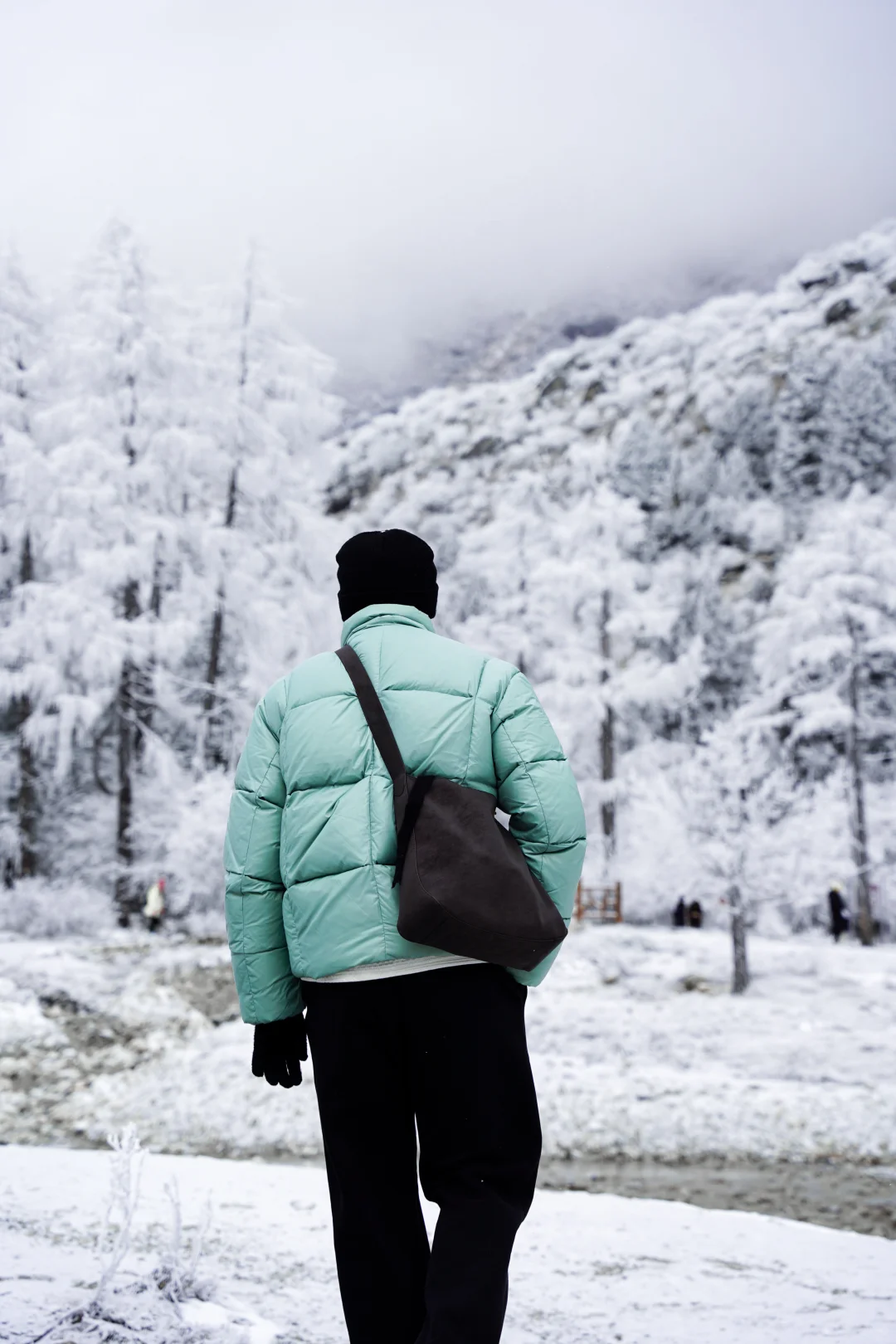早晨的毕棚沟｜在燕子岩误入魔戒世界