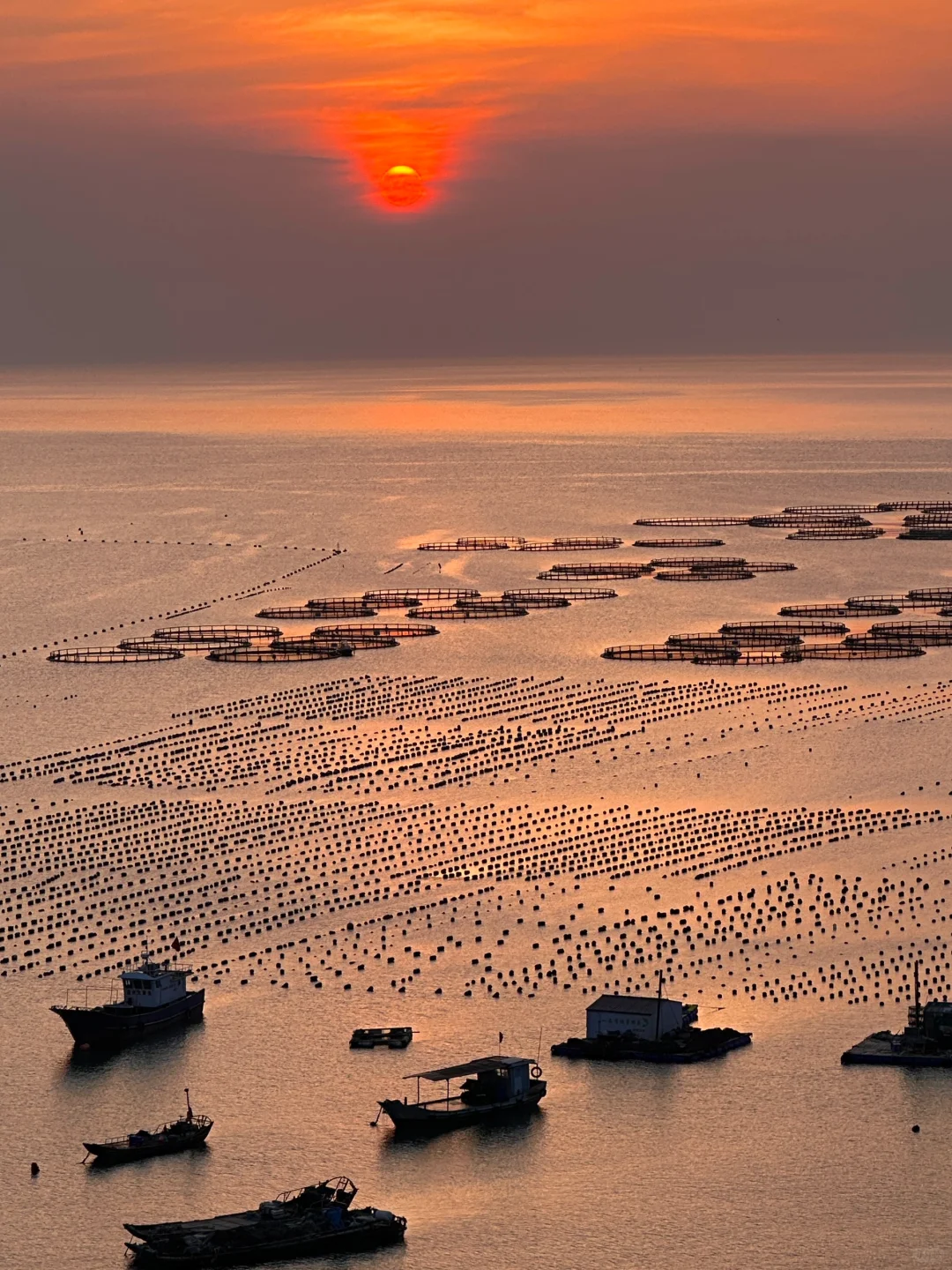 不在新西兰！在浙江！小众海岛美到next level