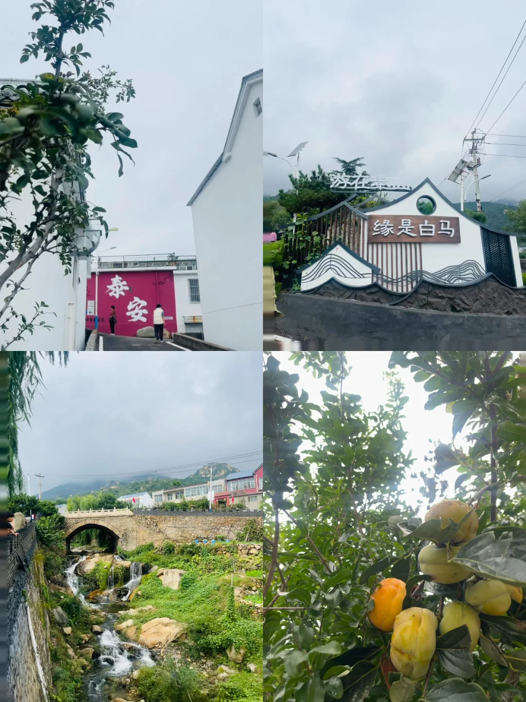 泰安周末游 | 白马石村·citywalk小记