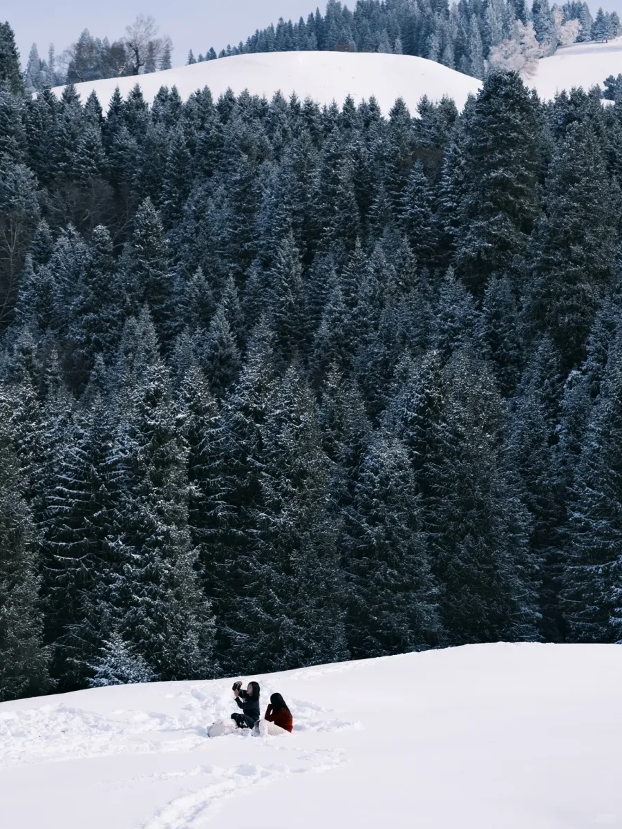 伊犁|冬日那拉提简直是i人天堂