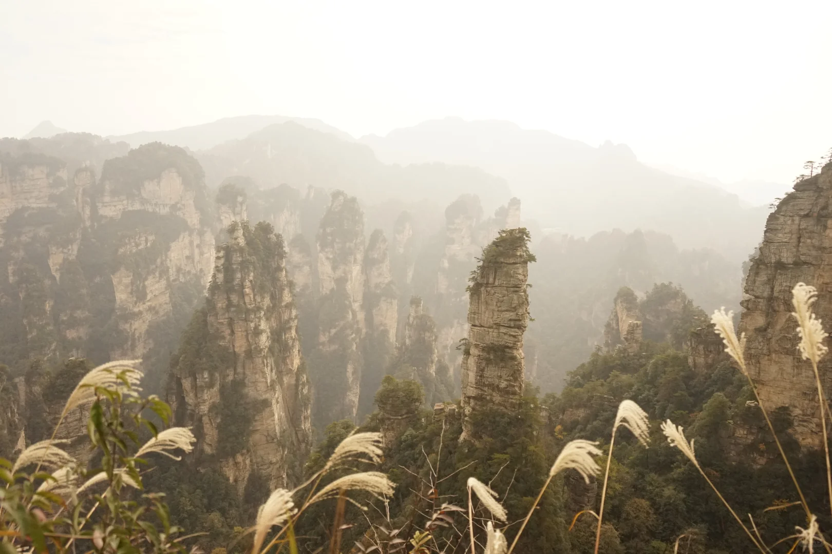 张家界攻略！避坑 + 省时