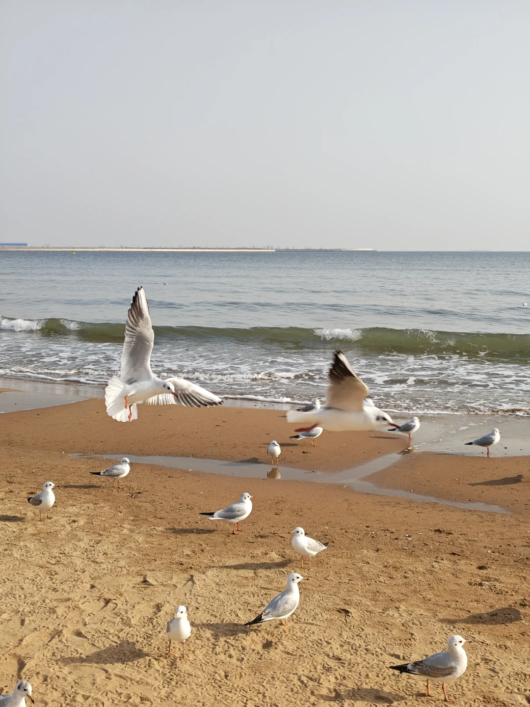 人生重启计划打卡 | 第 201 天