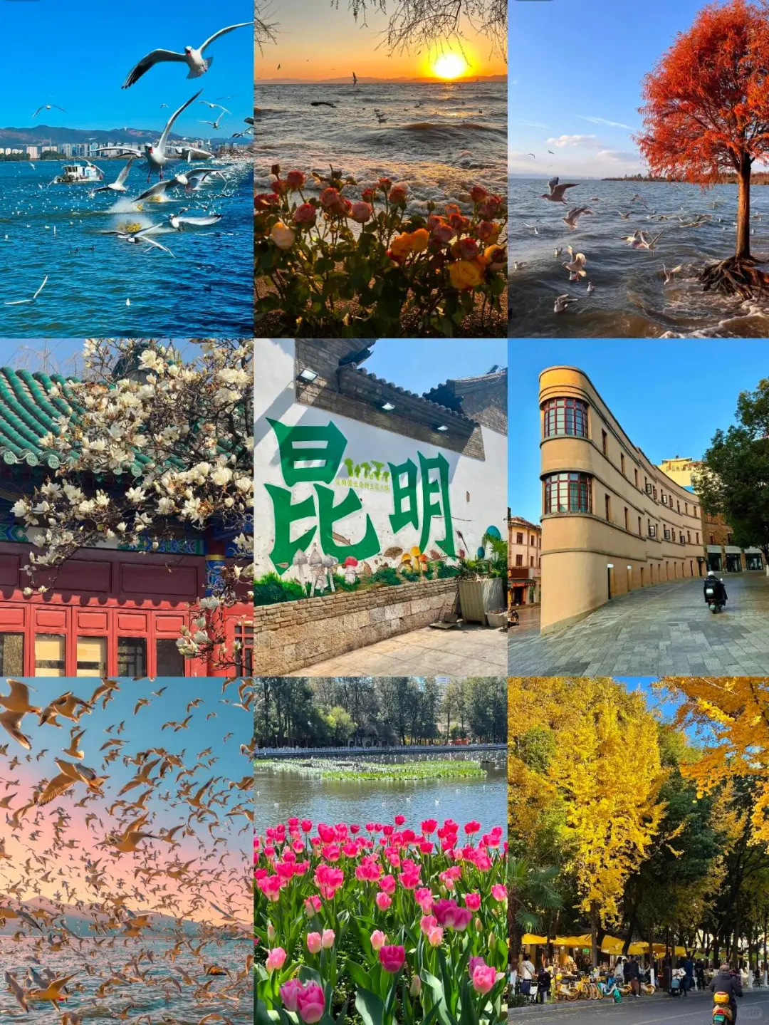 12~2月去云南旅游路线攻略❗人均1k+💰快