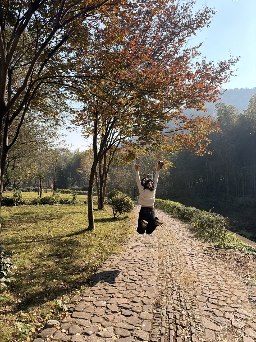 交换一张你拍的银杏吧