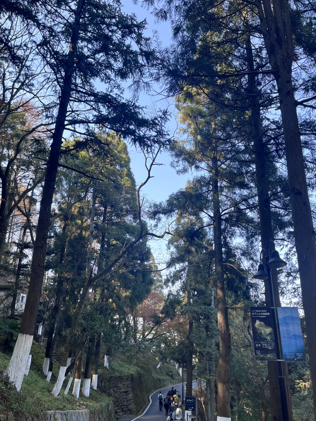 莫干山赏秋,美得太超过了!